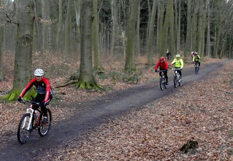 O-CTF RG Uni Heimfelder Dirk 765